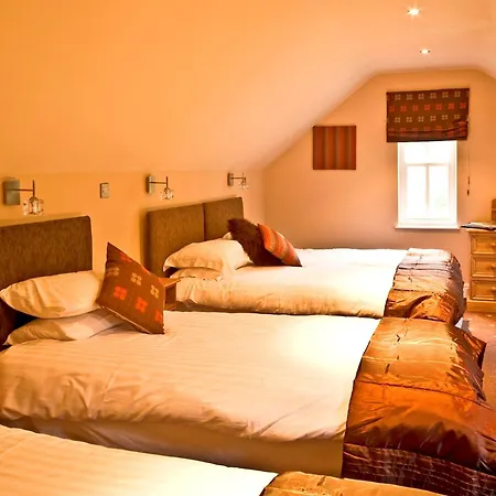 乡村民宿 新冬吉昂吉尔酒店 大朗戴尔